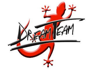 Logo client Dream Team Car — Alarme & vidéoprotection à Martigues par No-Nc ELEC