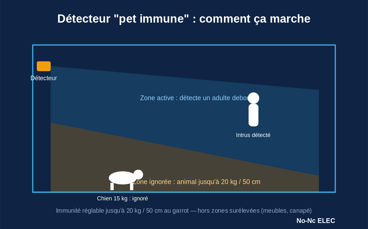 Alarme et animaux domestiques : comment éviter les fausses alertes